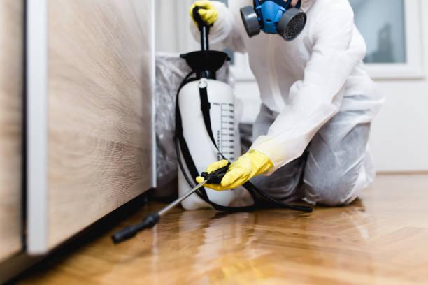 Best Termite Control Services  in Washington Park, IL