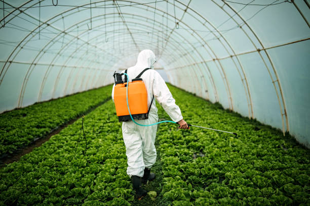 Best Best Pest Control Companies  in Washington Park, IL