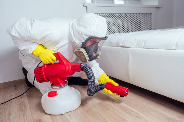 Best Pest Control for Homes  in Washington Park, IL