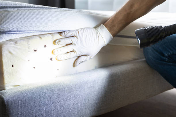 Best Pest Prevention Services  in Washington Park, IL