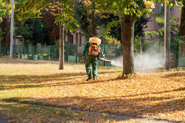 Wasp Removal Services in Washington Park, IL