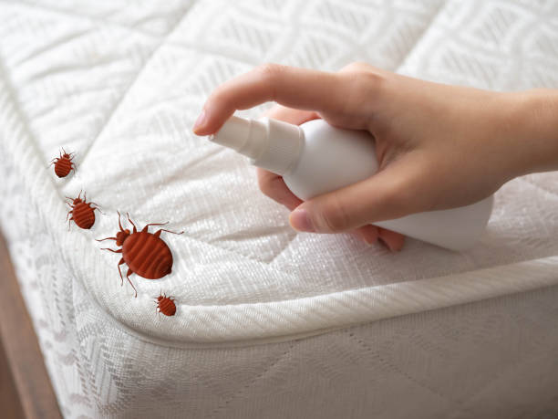 Best Local Pest Control Services  in Washington Park, IL