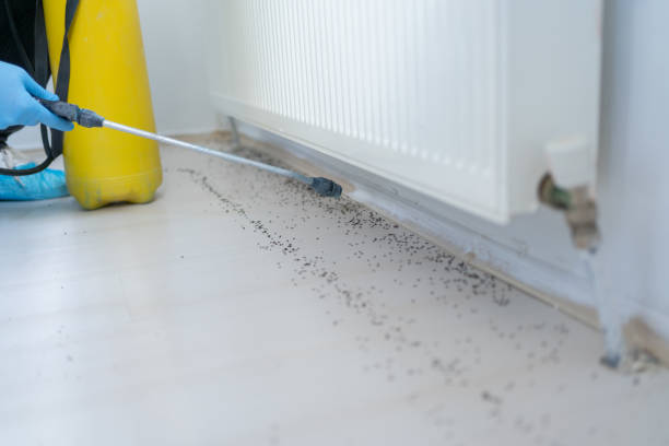 Best Best Pest Control Companies  in Washington Park, IL