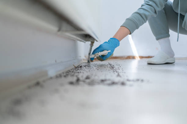 Pest Control for Restaurants in Washington Park, IL