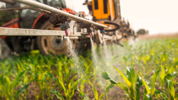 Best Pest Removal Services  in Washington Park, IL